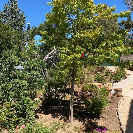 Guest house Du Belvedere - Jardin