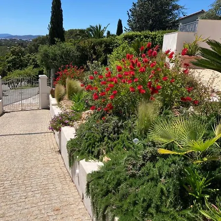 Penzion Du Belvedere - Jardin